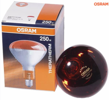 Bóng đèn hồng ngoại Osram 250W